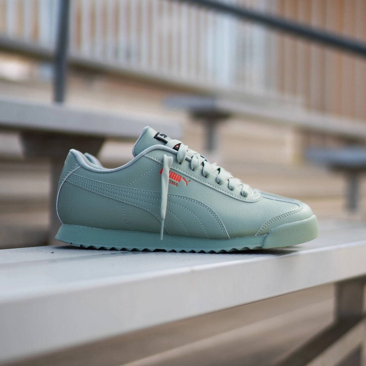 Mens Puma Roma Brand Love (Green Fog) Long   Lasting Quality