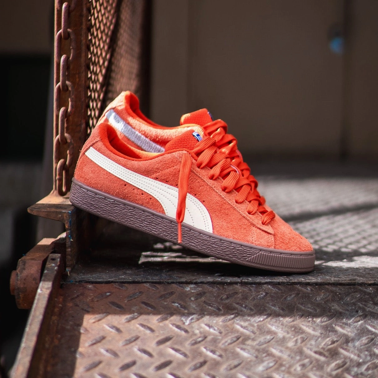 Mens Puma Suede N & T (Foliage) Cycling Comfort Iconic wear