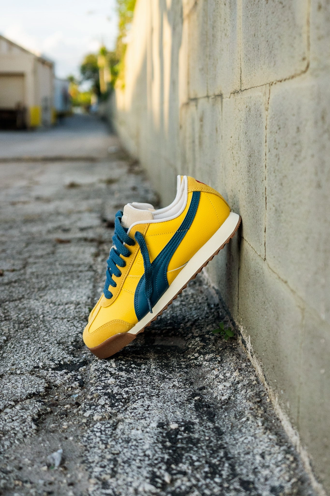 Mens Puma Roma Underdogs (Canary Yellow) Comfort Canvas