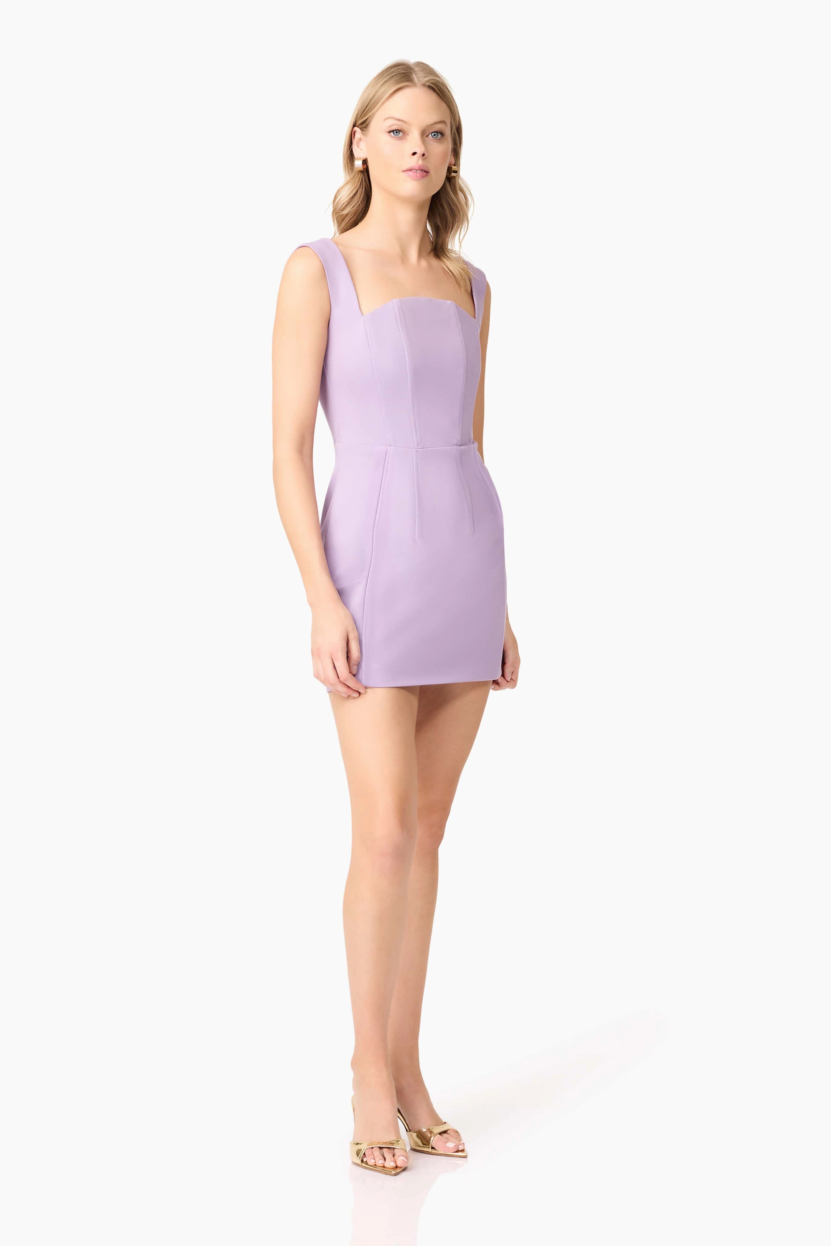 BiasCutSilhouette Alina Corset Mini Dress in Purple