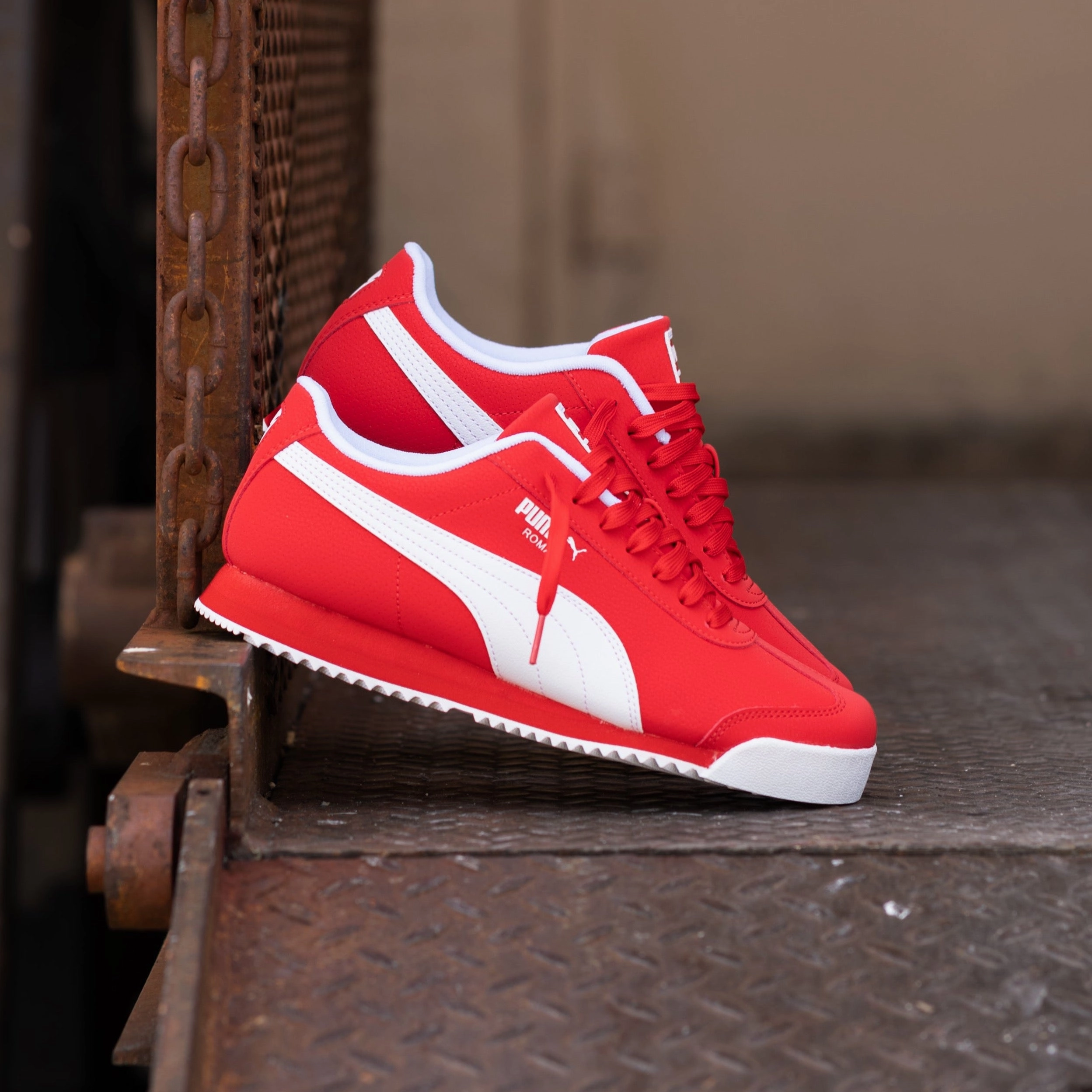 flex design Pace Support Mens Puma Roma 24 Reversed (For All Time Red/Puma White)