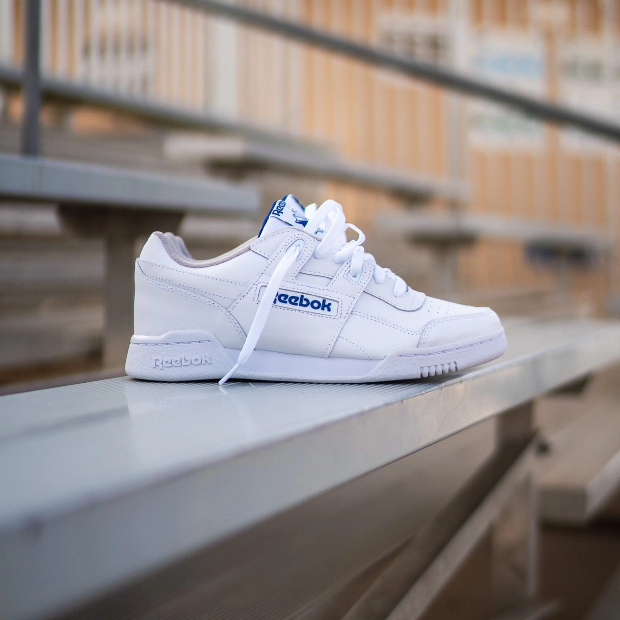 Iconic arch Reebok Workout Plus (White/Royal)