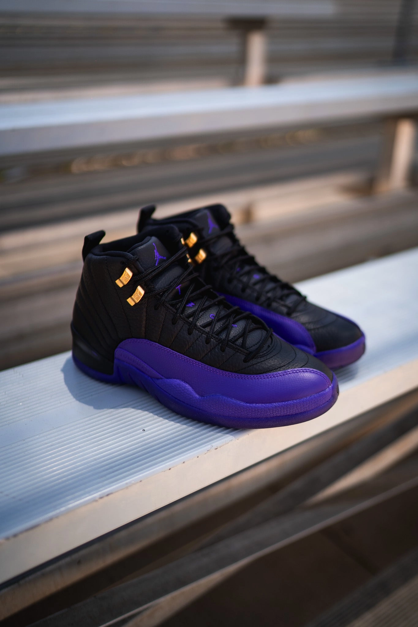 Air Jordan 12 Retro (Field Purple) Torsion Rigidity System