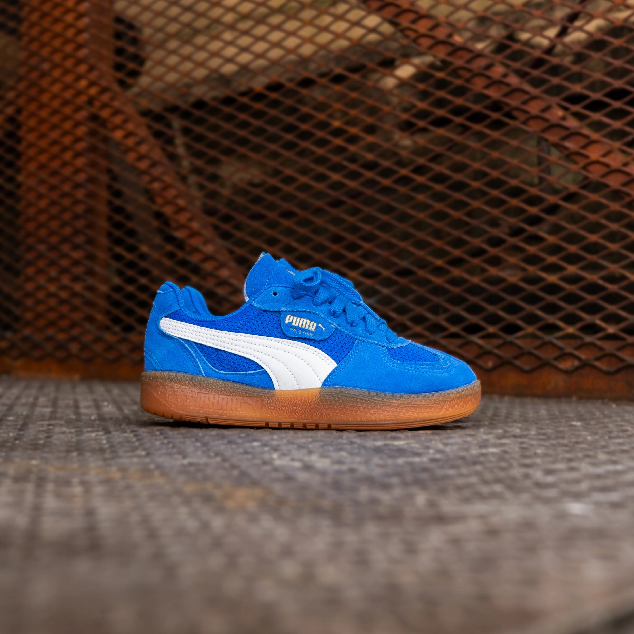 Smooth Support Women's Puma Palermo Moda Vintage (Hyperlink Blue/Gum)