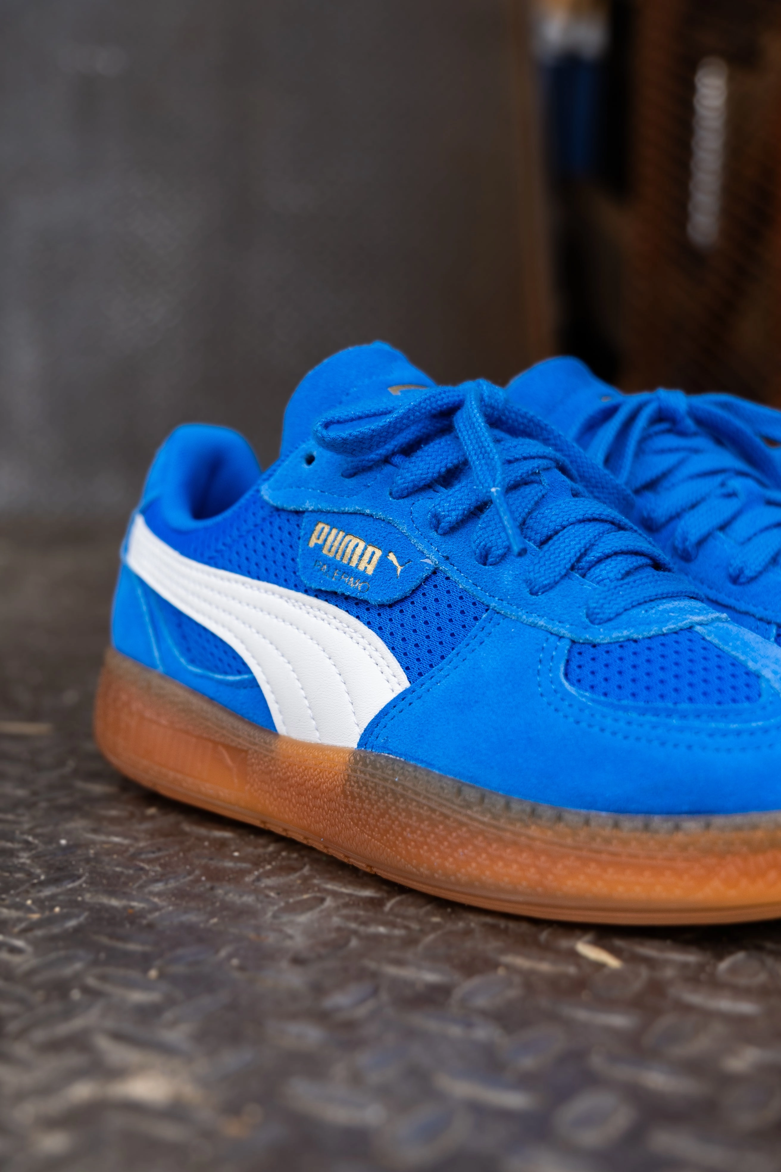 Soft Walk Impact absorption Women's Puma Palermo Moda Vintage (Hyperlink Blue/Gum)