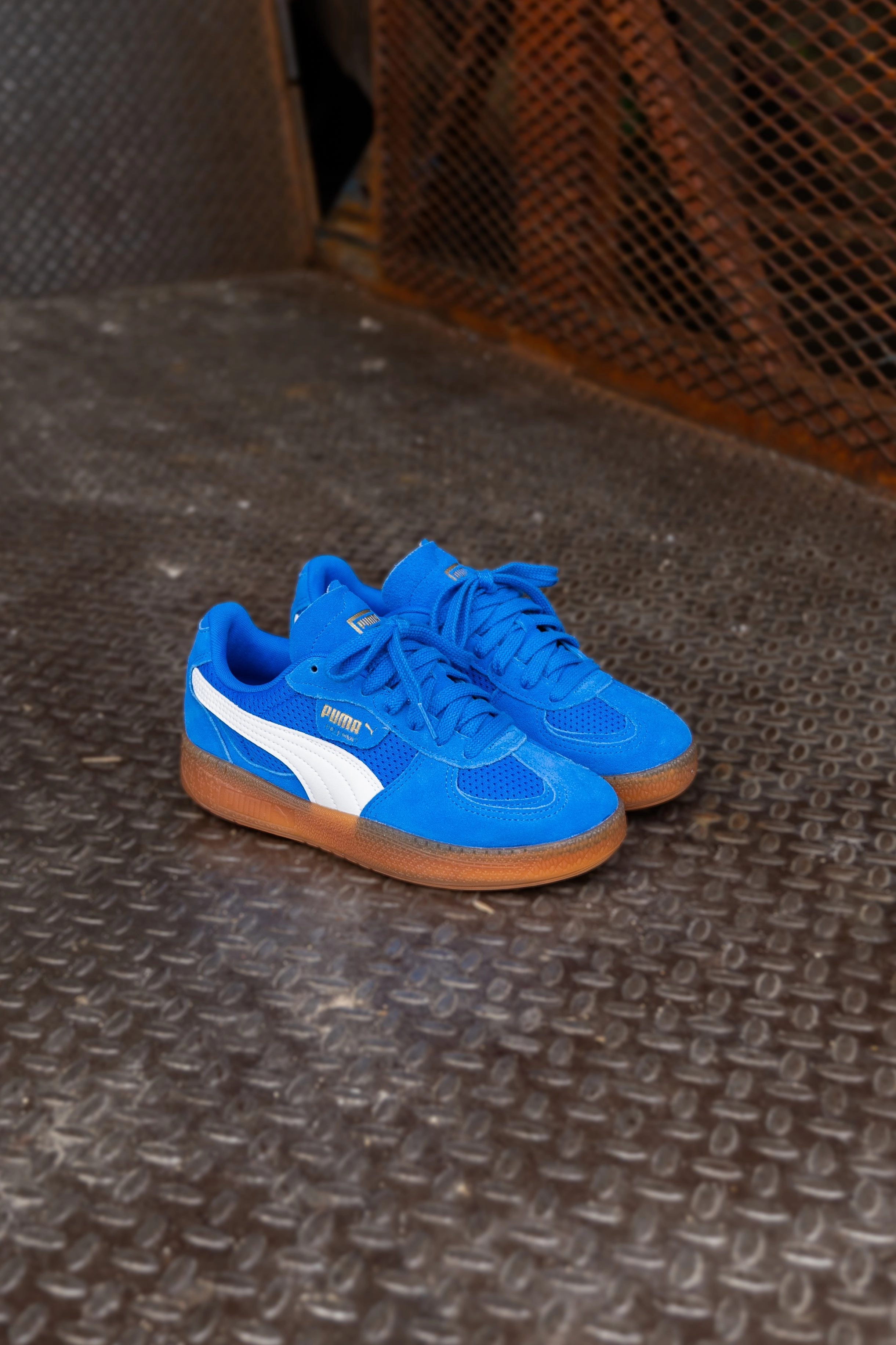 Fashion Casual Women's Puma Palermo Moda Vintage (Hyperlink Blue/Gum)